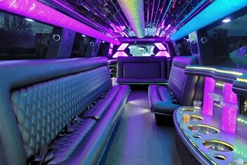 Waukesha Limo Interior